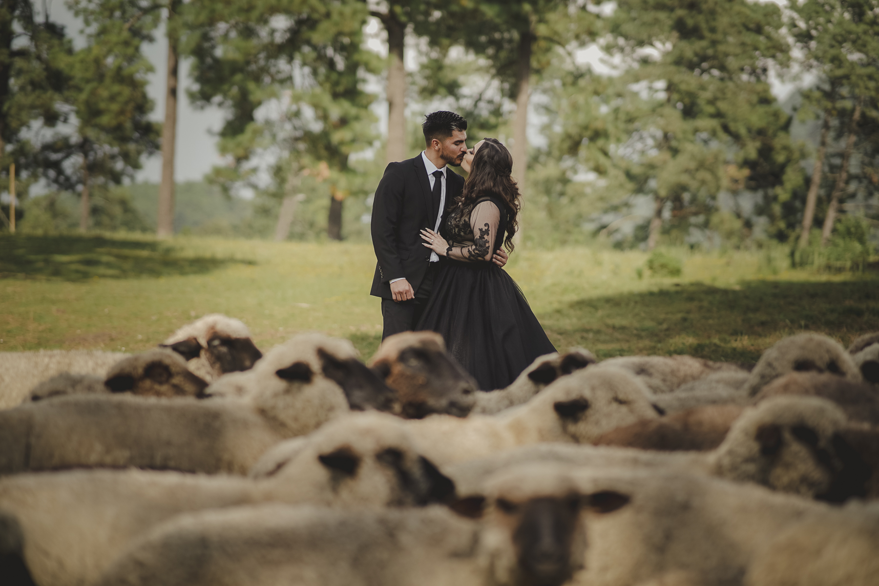 fotografos de bodas en cuernavaca